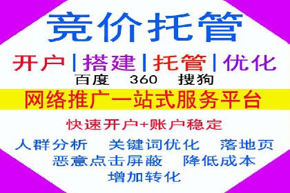专业SEM托管服务，案例剖析行业应用